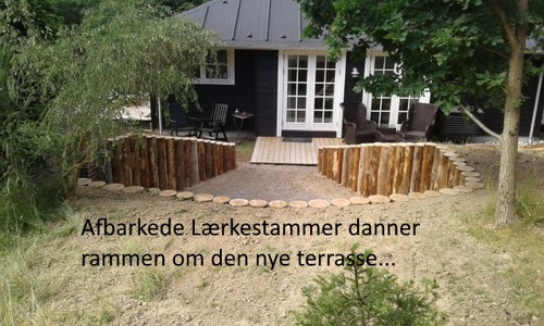 lærkestamme2.jpg